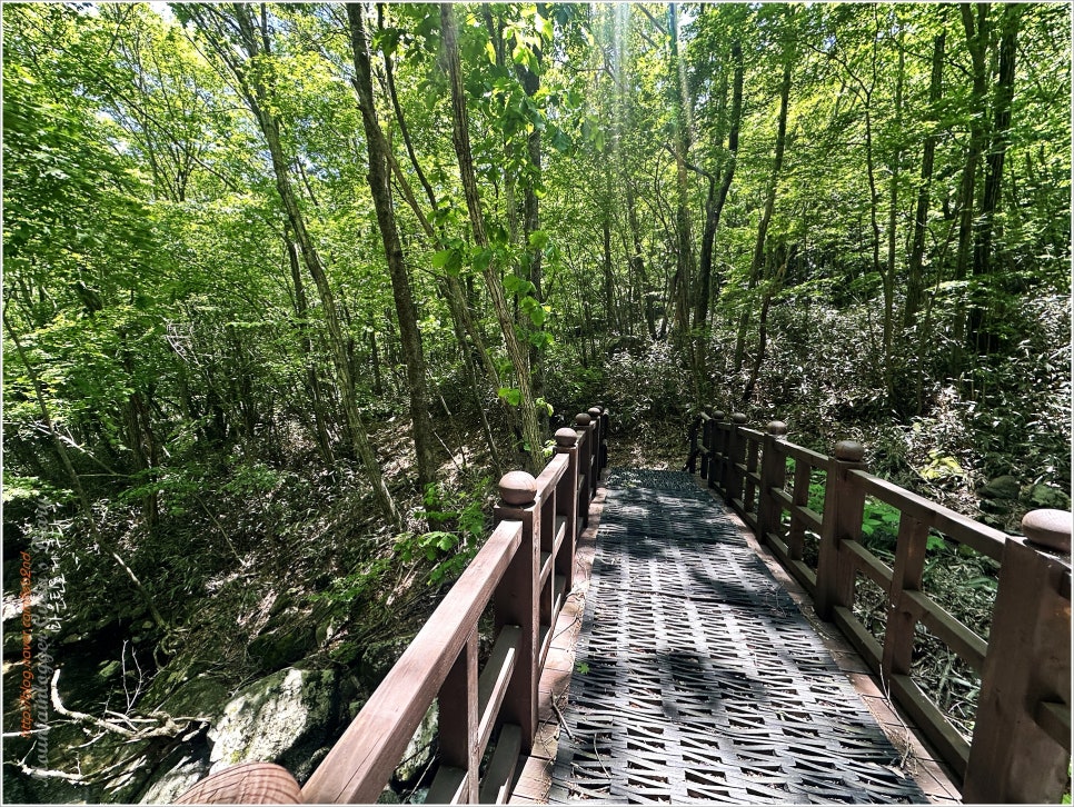 지리산 삼신봉:  한국의산하 300명산 졸업산행