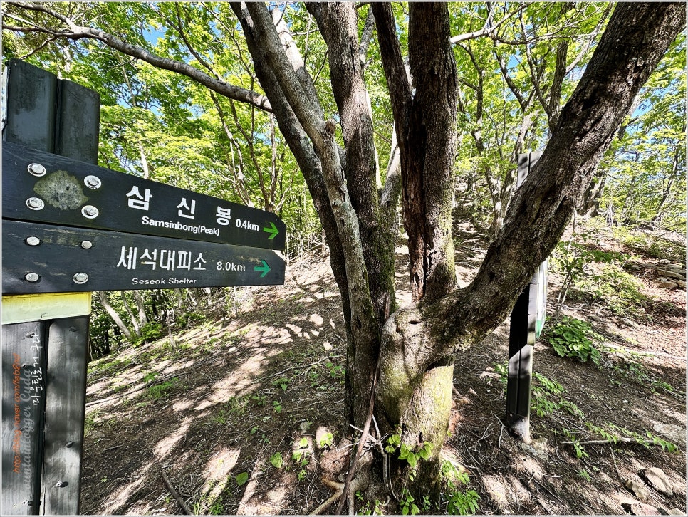 지리산 삼신봉:  한국의산하 300명산 졸업산행