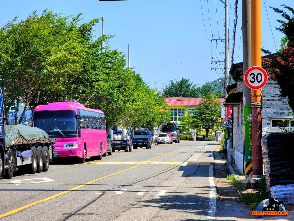 (전북 군산 / 군산 발산리 오층석탑, 군산 발산리 석등) 우리가 주목해야할 군산 발산리의 유적. 발산초등학교 뒤에 숨겨진 대한민국의 보물