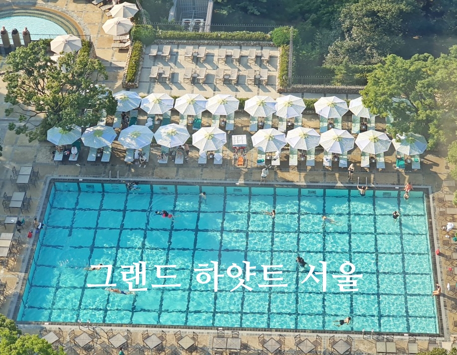 서울 호캉스 추천 그랜드 하얏트 서울 호텔 수영장 라운지 조식 후기