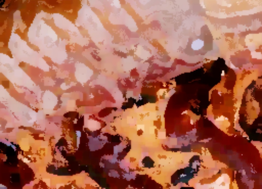 생생정보통 항아리바비큐 불주꾸미 식당 위치 대결맛대맛