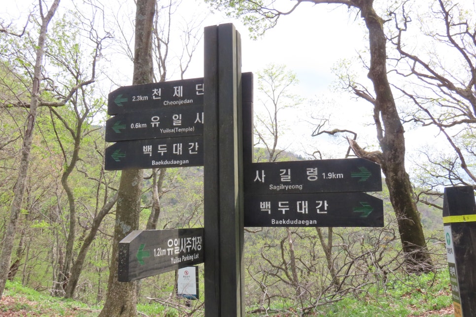 [태백산국립공원] 유일사탐방로에서 꽃과 함께 힐링 탐방을...