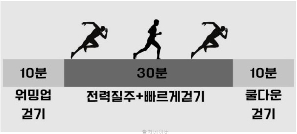 런닝머신 인터벌 러닝 뱃살 빼는 운동 방법 여자 남자 피하지방 빼는법