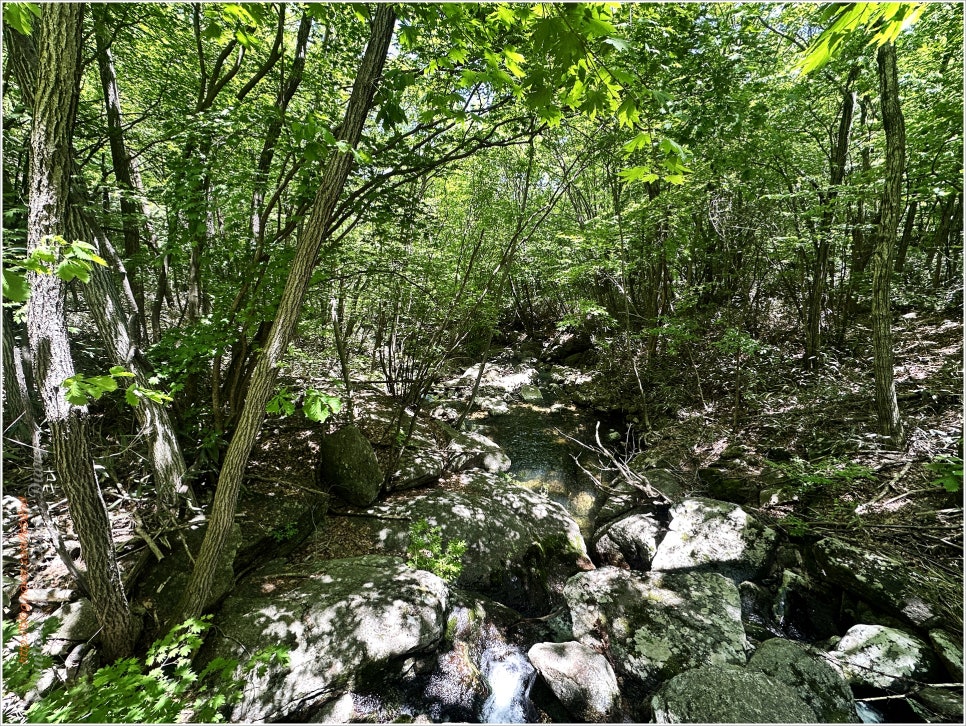 지리산 삼신봉:  한국의산하 300명산 졸업산행