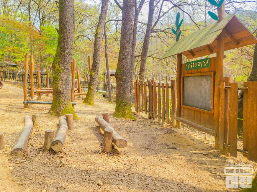 대전 아이와 가볼 만한 곳_보문산 사정공원 숲 놀이터