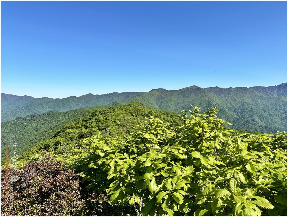 지리산 삼신봉:  한국의산하 300명산 졸업산행