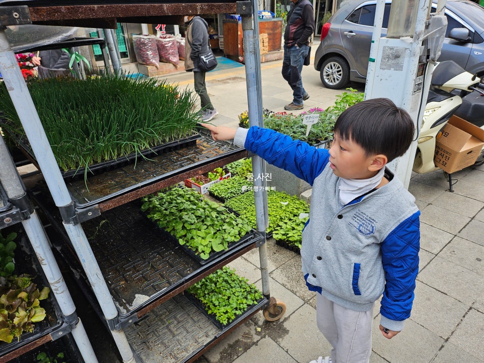 미로예술 원주 중앙시장 볼거리 먹거리 다 돌아보기