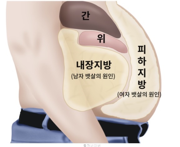 런닝머신 인터벌 러닝 뱃살 빼는 운동 방법 여자 남자 피하지방 빼는법