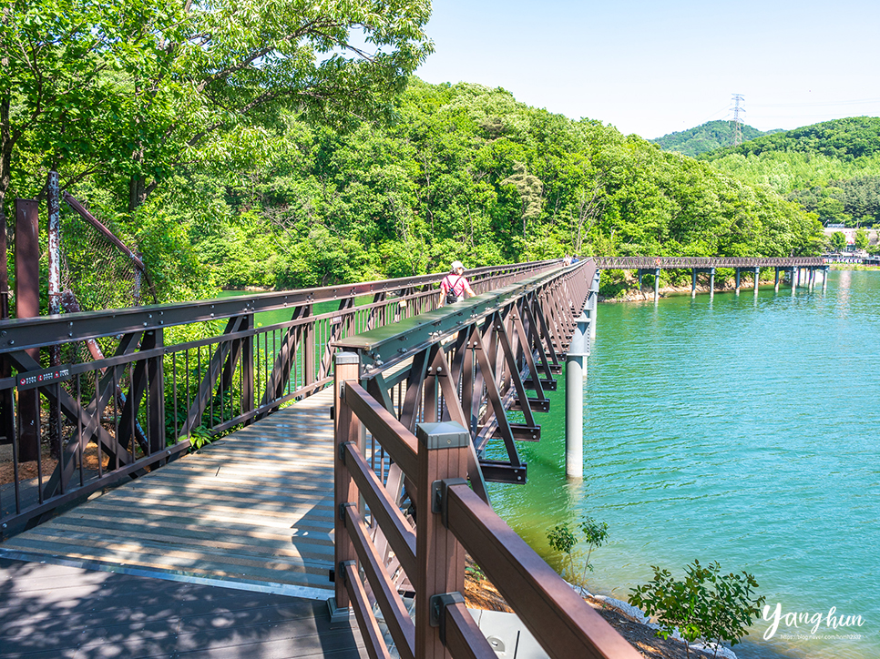 파주 당일치기 볼거리 파주 마장호수 출렁다리 나들이