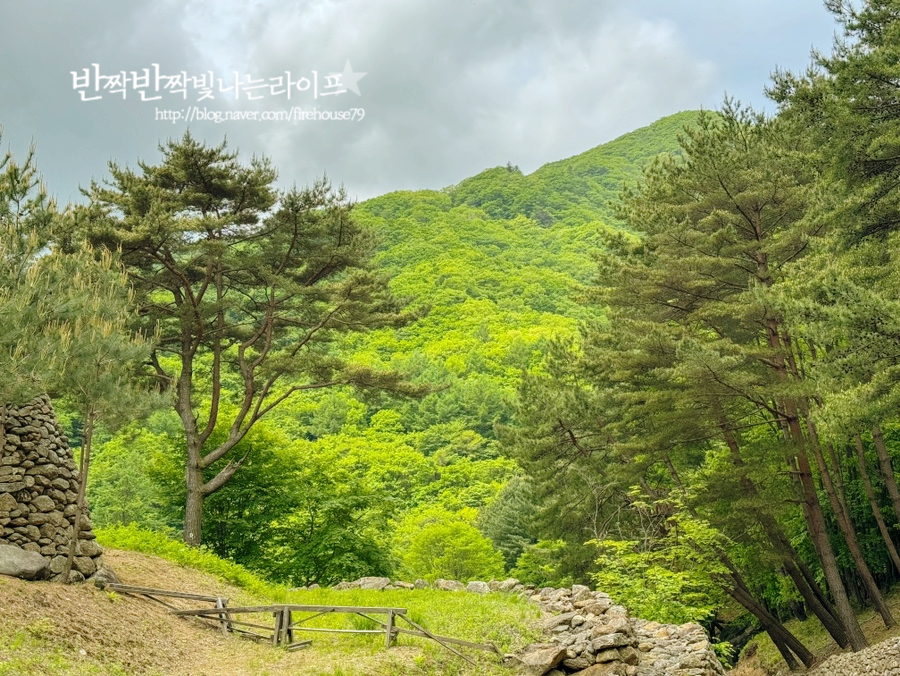 하동 삼성궁 인생샷 명소 배달성전 삼성궁 입장료 & 주차장