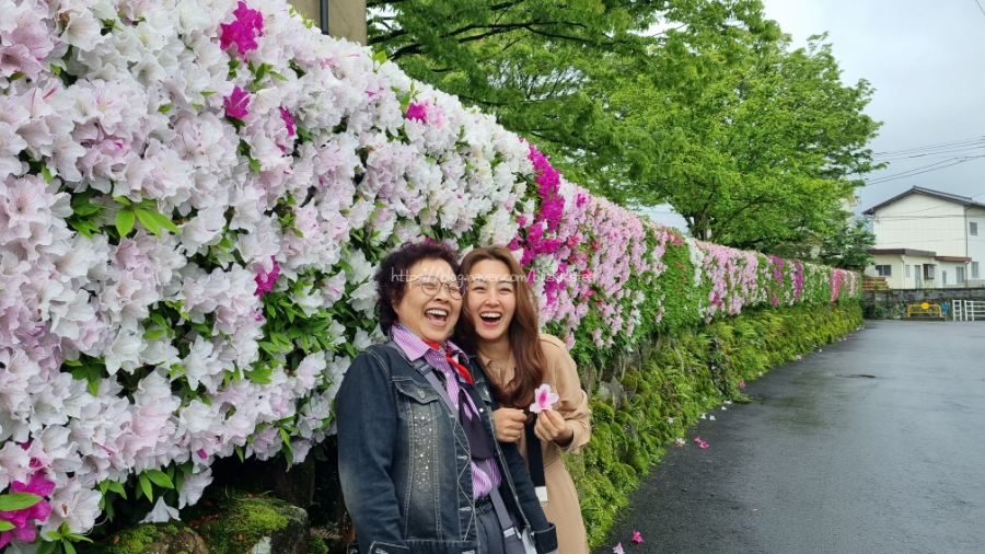 [엄마랑 딸셋 후쿠오카 여행 Day2] 도요타렌터카 & 우키하 Tane no Tonari
