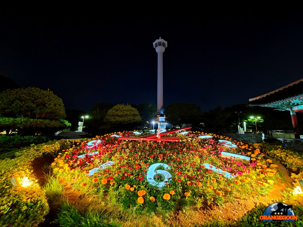 (부산 중구 / 산복도로 야경) 무료로 감상할 수 있는 대한민국 최고의 야경. 시내버스를 타고 산복도로에서 바라본 아름다운 야경