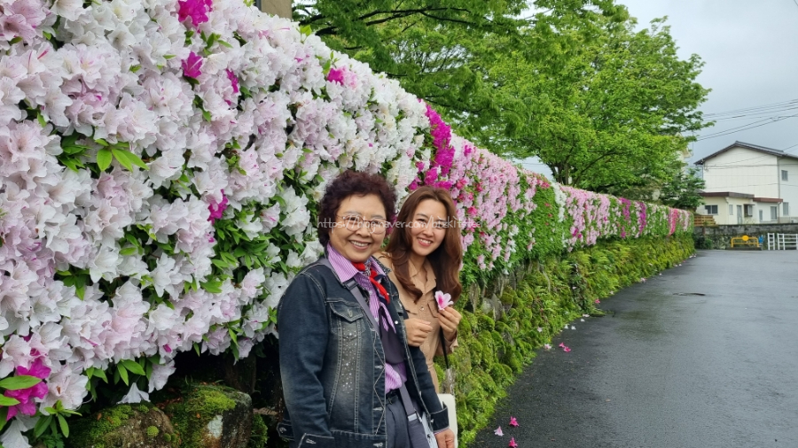 [엄마랑 딸셋 후쿠오카 여행 Day2] 도요타렌터카 & 우키하 Tane no Tonari