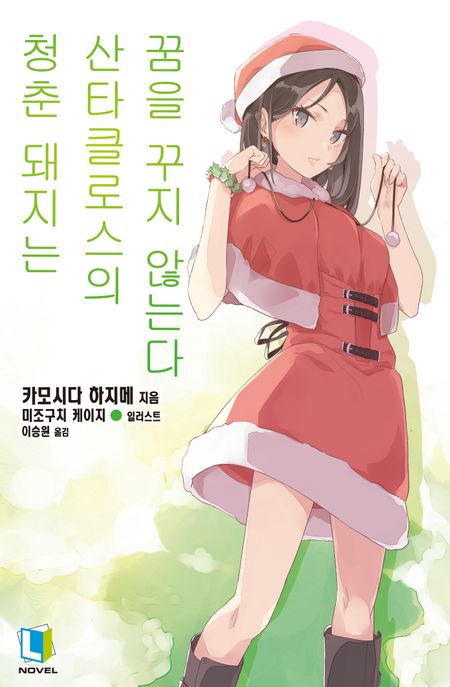 청춘 돼지는 산타클로스의 꿈을 꾸지 않는다