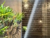 베트남 나트랑 마사지 샤워 가능 최대 20% 할인 고급 샵 웰스파