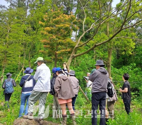 "제주의 도로는 제주 자연을 마구 난도질하고 있다"