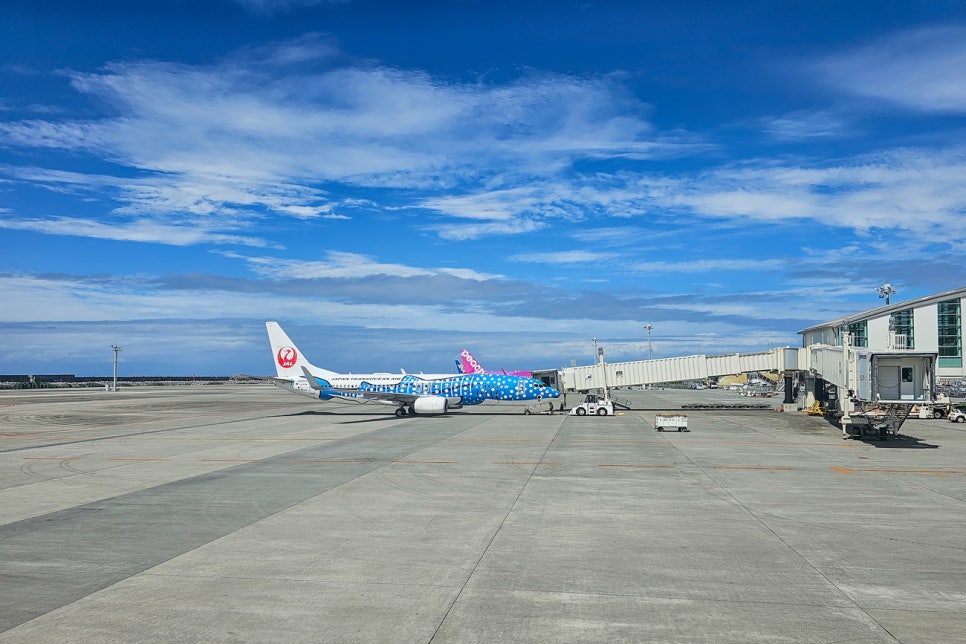 일본 오키나와 항공권 가격 가볼만한곳 여행 후기