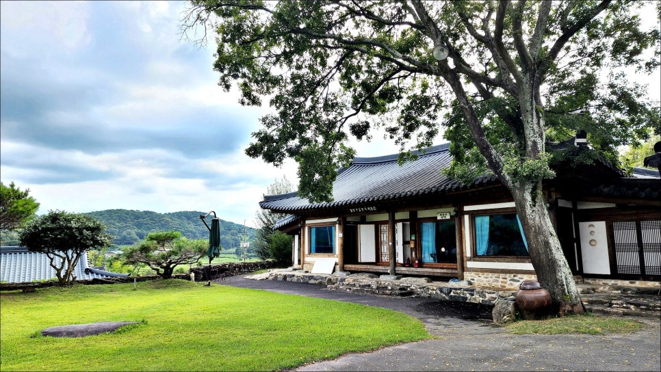 전남 담양 가볼만한곳 대숲 죽녹원 외 담양 여행 코스 추천!