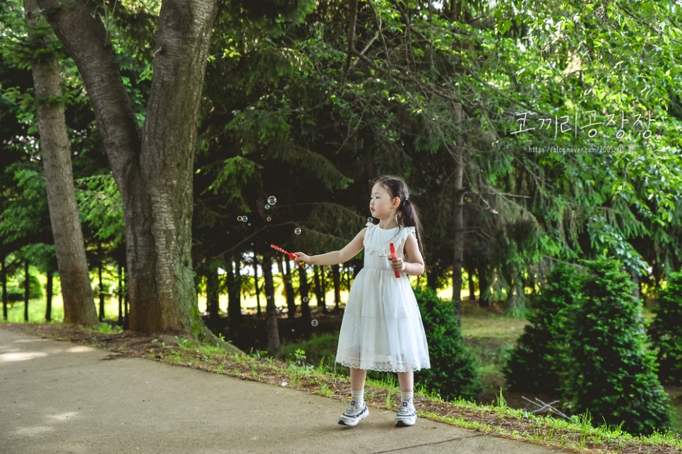 인천 피크닉 하기 좋은 연희자연마당에서 아이와 산책하기