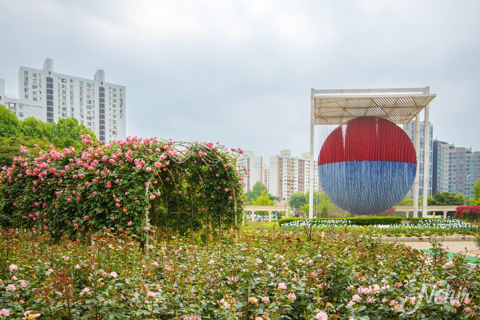 서울 올림픽공원 장미광장 장미축제 들꽃마루