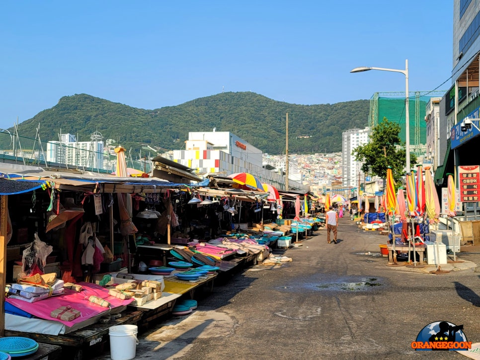 (부산 중구 / 자갈치시장 #2) 오이소, 보이소, 사이소. 부산의 대표적인 수산물 시장. 맛있는 해산물에 시원한 바다 풍경은 보너스 Jagalchi Market