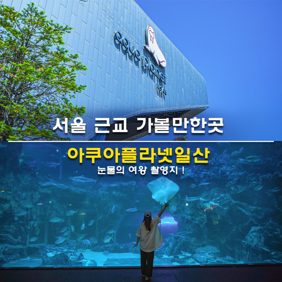 서울 근교 가볼만한곳 아쿠아플라넷 일산 눈물의 여왕 촬영지