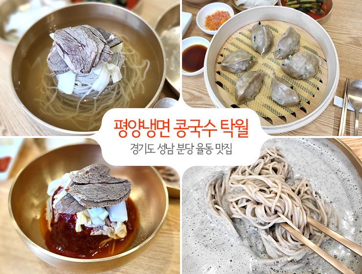 평양냉면 콩국수 탁월, 율동공원 근처 분당 율동 맛집