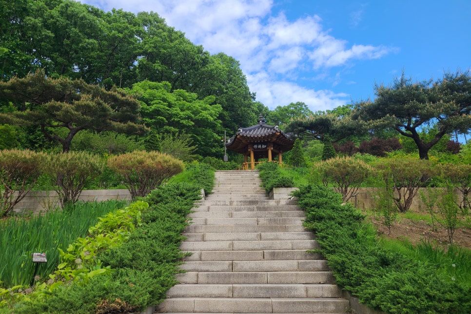 5월 가볼만한곳 경기도 파주 율곡수목원, 산책하며 힐링하기 좋아요!