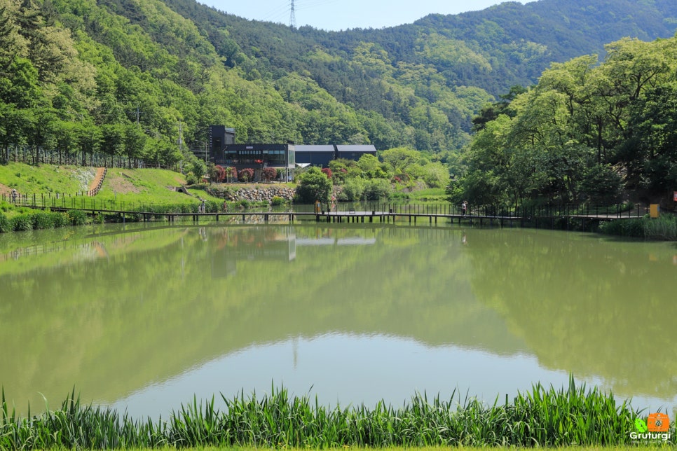 대구 갈만한곳 대구 진밭골 산림공원 둘레길 관광지 당일치기 데이트 코스