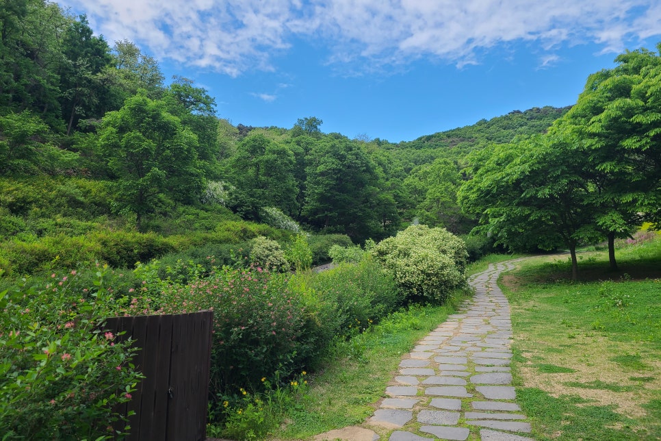 5월 가볼만한곳 경기도 파주 율곡수목원, 산책하며 힐링하기 좋아요!