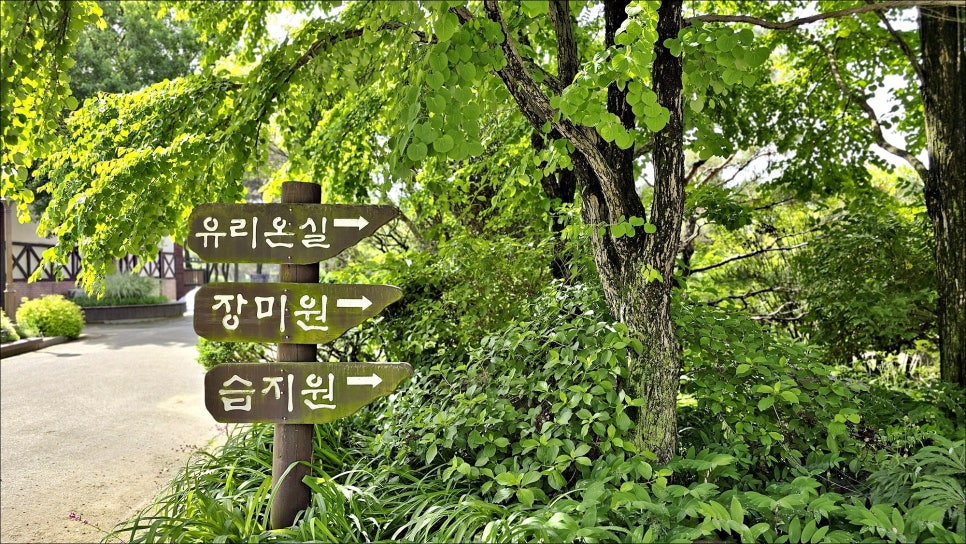 전라북도 여행지 추천 전북 가볼만한곳 한국도로공사 전주수목원 5월 6월 꽃구경!