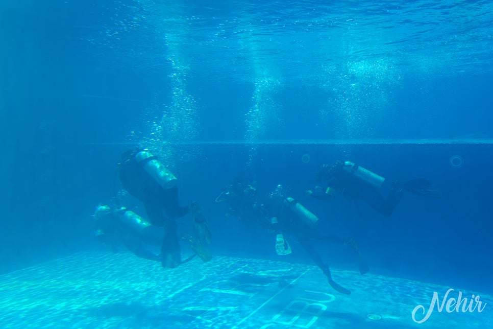 세부 스쿠버다이빙 자격증 재밌었던 세부 다이빙