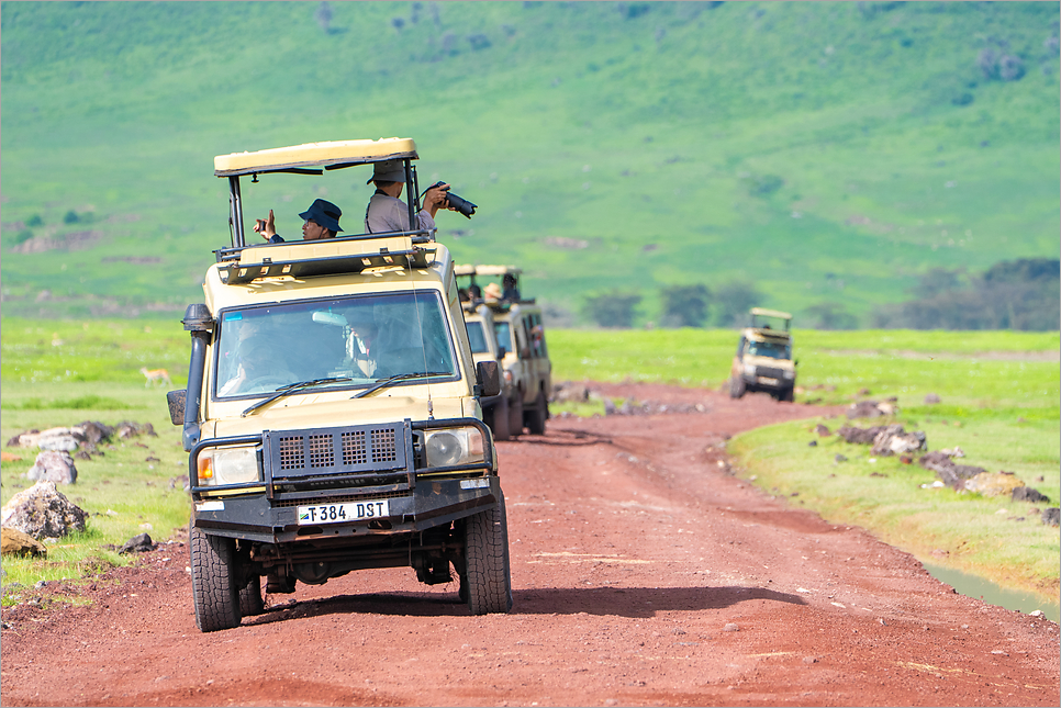 아프리칸 사파리, 여행의 끝판왕 탄자니아 세렝게티 투어