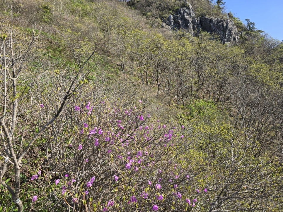 소백산국립공원 등산코스 연화봉 지나 비로봉 단양소백산철쭉제