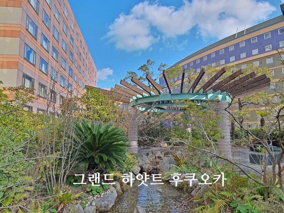 후쿠오카 호텔 그랜드 하얏트 후쿠오카 숙소 추천 객실 수영장 조식 라운지 후기