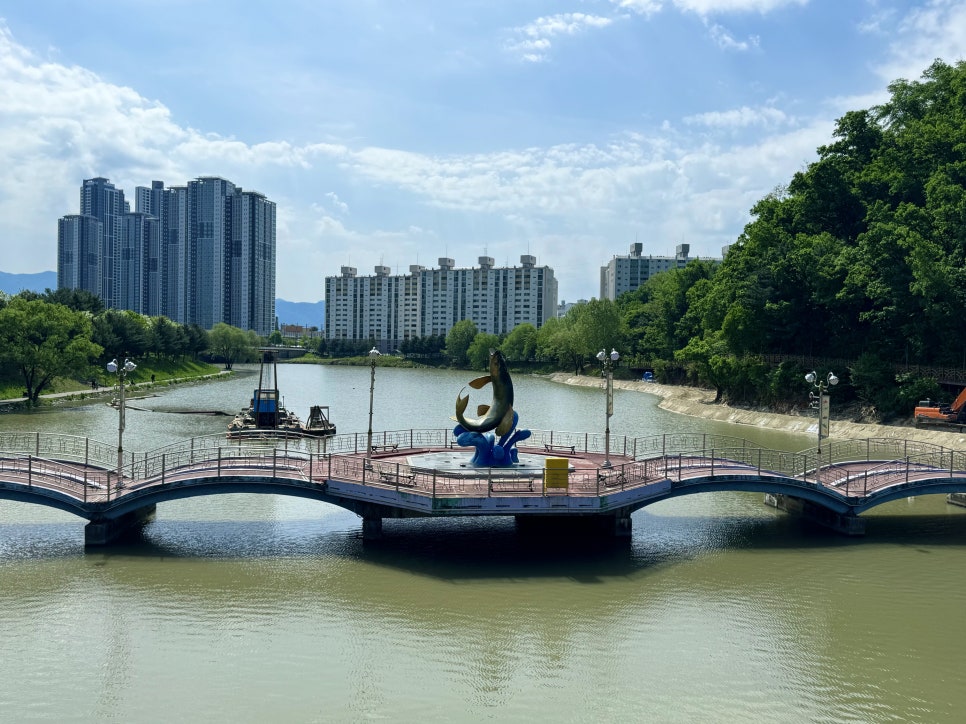 춘천 당일치기 여행, 주말 드라이브로 가기 좋은 반려동물 동반 여행 코스