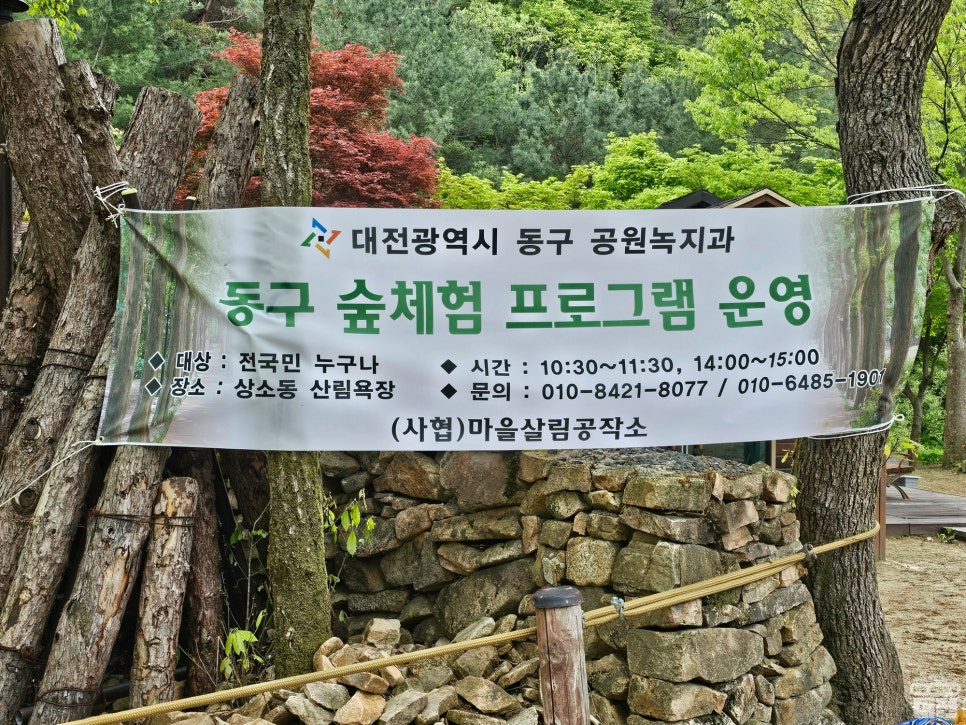 가볍게 산책하기 좋은 힐링 여행지, 대전 상소동 산림욕장