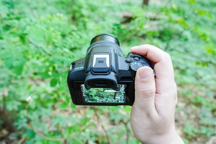 4K 브이로그 카메라 캐논 EOS R50 보라매공원 봄 풍경