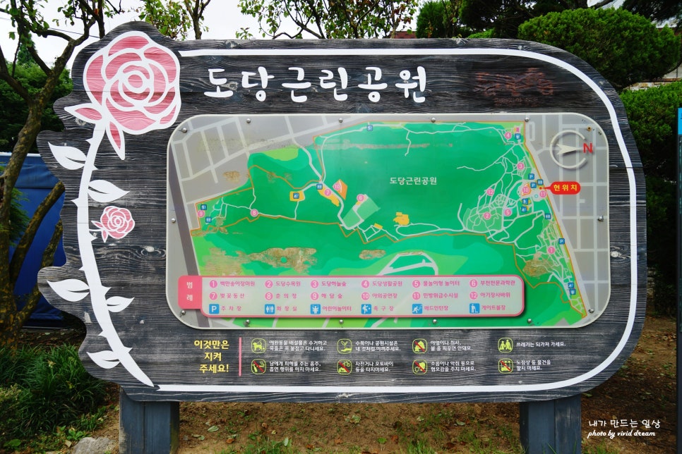 부천 가볼만한곳 백만송이장미원 장미축제 꽃구경 데이트코스