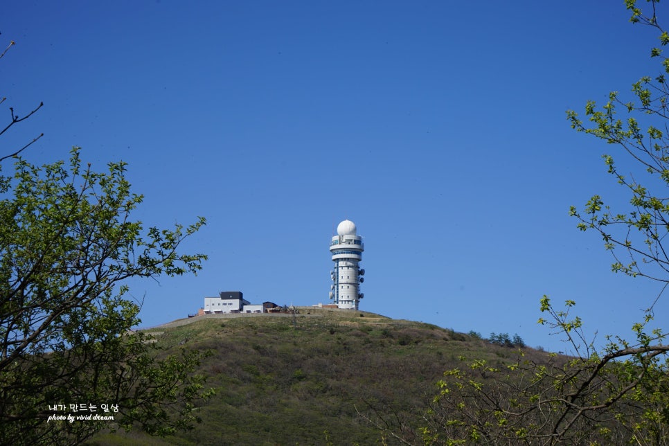 소백산국립공원 등산코스 연화봉 지나 비로봉 단양소백산철쭉제