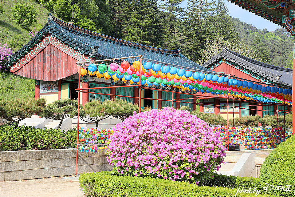 강원도 평창 가볼만한곳 발왕산 케이블카 외 먹거리