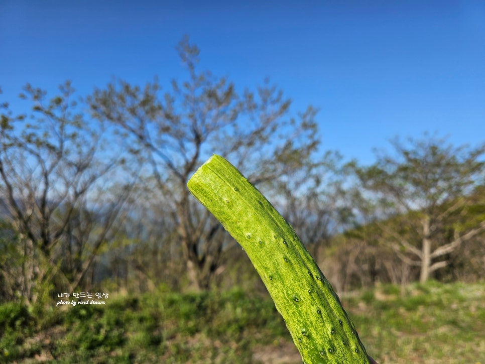 소백산국립공원 등산코스 연화봉 지나 비로봉 단양소백산철쭉제