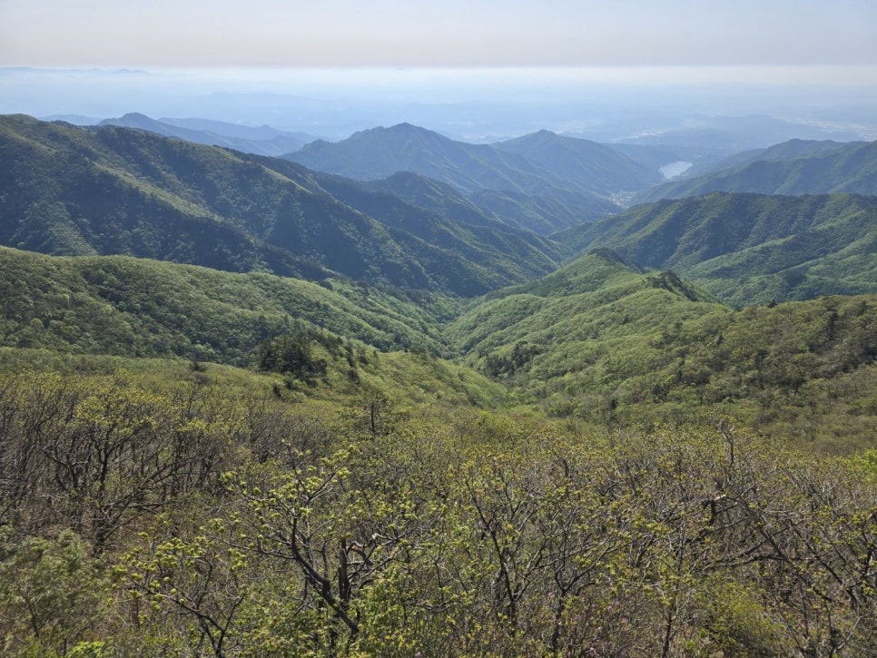 소백산국립공원 등산코스 연화봉 지나 비로봉 단양소백산철쭉제