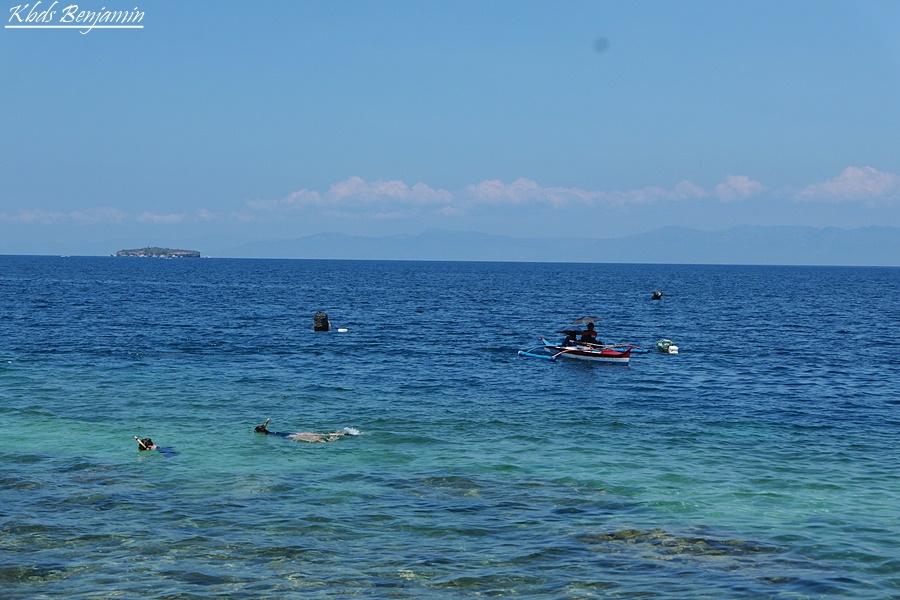 필리핀 3박 5일 세부 여행 추천 모알보알 세부 오슬롭 고래상어 투어