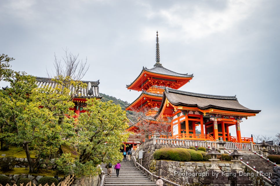 일본 봄 여행지 추천 일본 가족여행 교토 여행 코스 당일치기 청수사 기요미즈데라