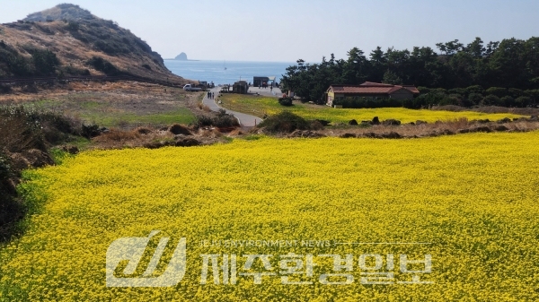 문화재청, 17일 국가유산청 출범.. 제주 성산일출봉 등 무료입장