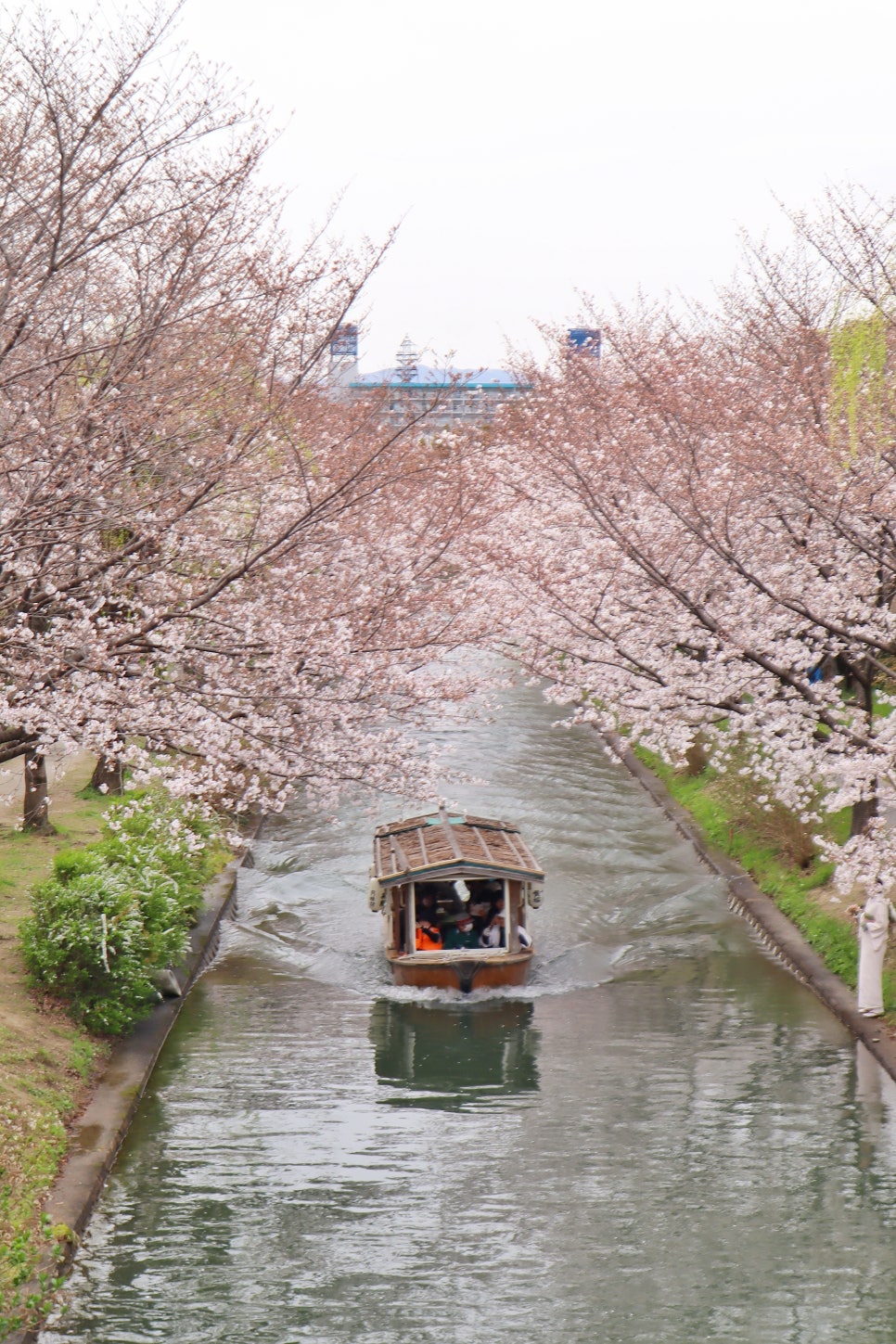 일본 오사카 여행 트립스토어 패키지 여행코스 알아보기