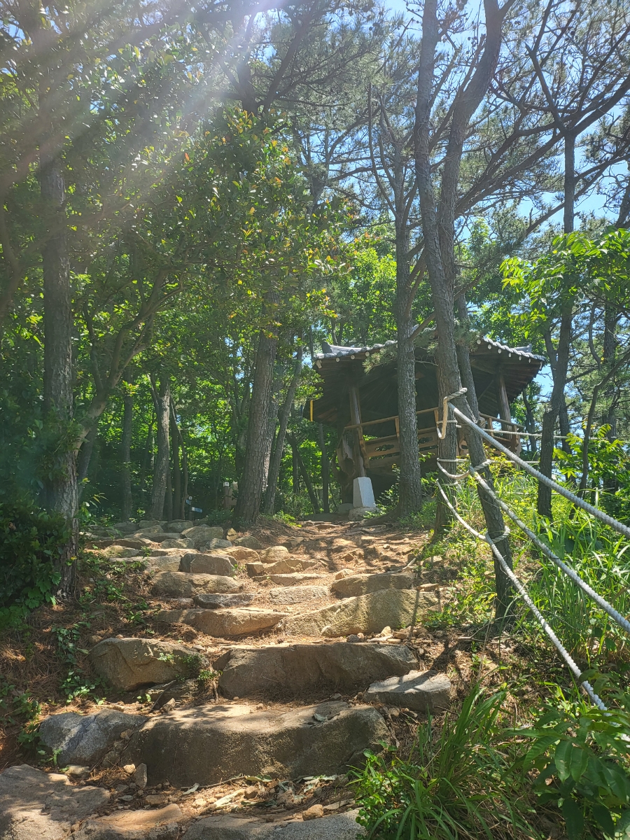 거제 걷기좋은 옥화마을(문어벽화마을) 해맞이길산책로 숨겨진 명소
