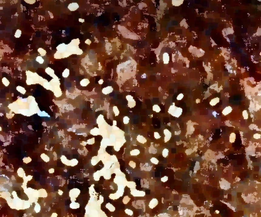 생생정보통 한우떡갈비 식당 위치 49년 전통 전설의맛