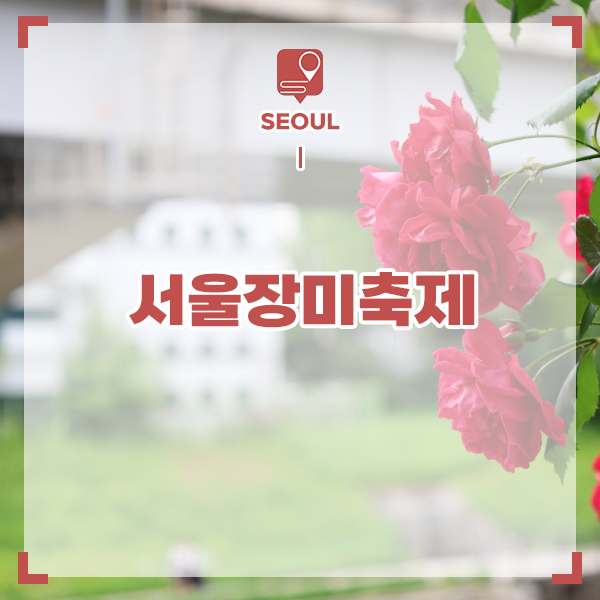 서울 장미축제 중랑천 중랑 장미공원 서울 여행지 추천